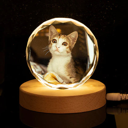 Pet Crystal Ball