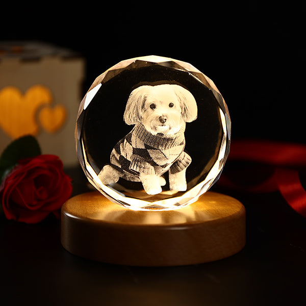 Pet Crystal Ball