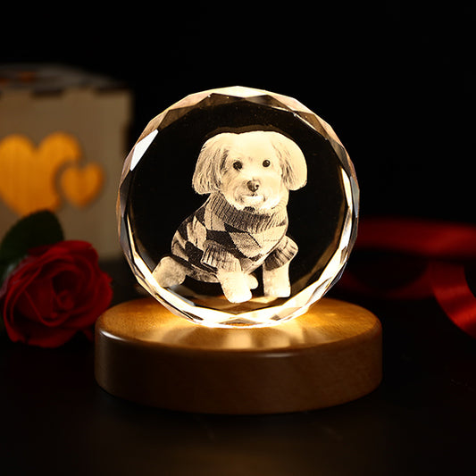 Pet Crystal Ball